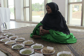 قصر الثقافة مفدي زكرياء يحتضن معرض جماعي لتقطير ماء الورد