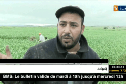 ميلة: حسين.. شاب يكافح متاعب الحياة في حقول الثوم للإسترزاق