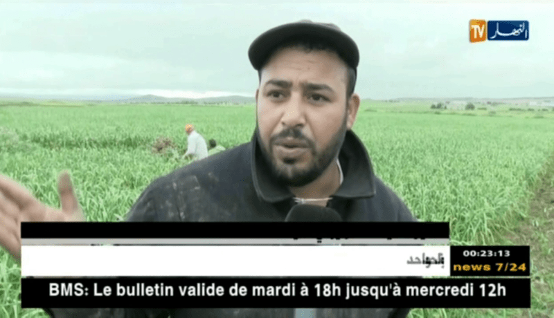 ميلة: حسين.. شاب يكافح متاعب الحياة في حقول الثوم للإسترزاق