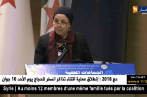 الأمينة العامة لوزارة الطاقة: إستهلاك البلديات للطاقة في تزايد مستمر من سنة لأخرى …التفاصيل