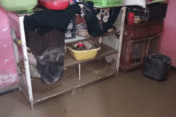 بالفيديو.. طوفان يجرف العشرات من منازل المشيدة على ظفاف الأودية في البليدة