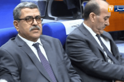 جراد: الجزائر في مرحلة إنتقالية نحو الطاقات المتجددة