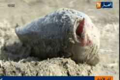 وفاة الاسماك بسبب بقع بيضاء في ام بواقي