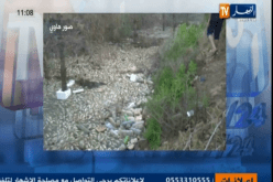 “النهار” تحصل على فيديو يظهر عودة نفوق الأسماك إلى سد بني هارون