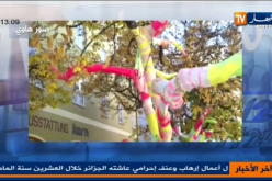 بالصور: شباب بالخارج يعبرون عن اهمية المحافظة على البيئة بطريقتهم الخاصة