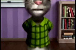 بالفيديو القط المحبوب يرد على نبيل فقير