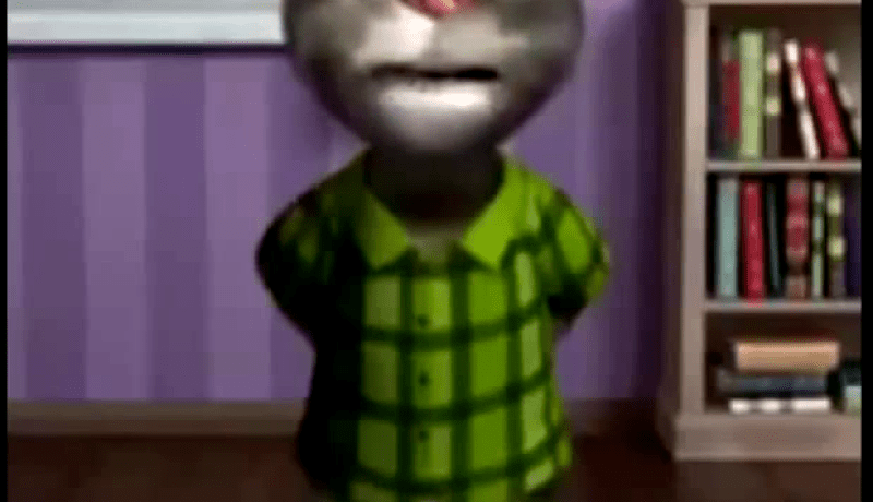 بالفيديو القط المحبوب يرد على نبيل فقير