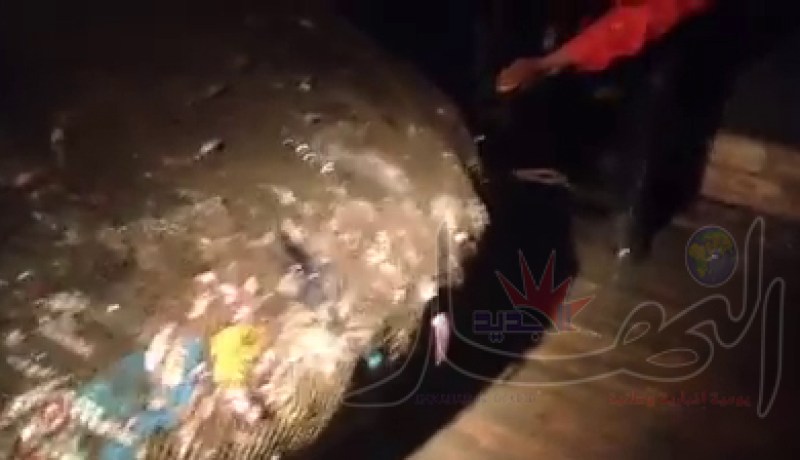 فيديو خطير صيادون يجدون بشباكهم النفايات والأسماك في نفس الوقت