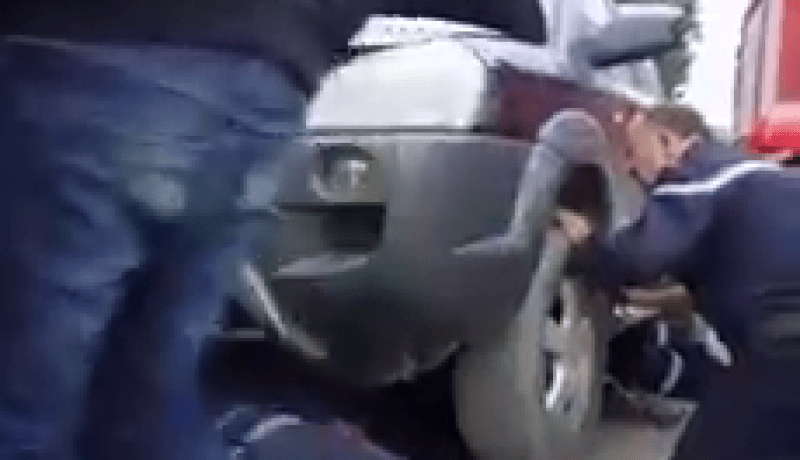 بالفيديو الحماية المدنية تنقذ كلب عالق في محرك سيارة