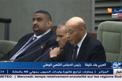 ولد خليفة التعديل الدستوري حقق تحولا ديمقراطيا واسعا