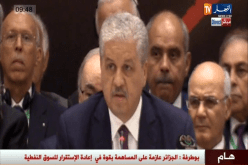 سلال يدعو أعضاء اوبك لتجاوز الحساسيات والتفكير في تداعيات الصدمة النفطية