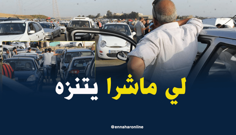 البيع والشراء الغائب الأكبر في سوق السيارات بتيجلابين
