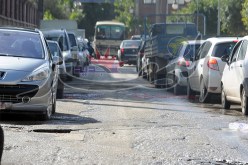 حجز 6 سيارات و500 شاة مهربة للمغرب في تلمسان