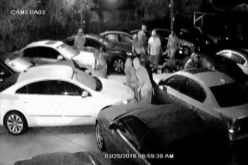 بالفيديو: مجموعة أشخاص يسرقون 8 سيارات دفعة واحدة من شركة بيع للسيارات في فلوريدا