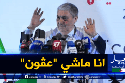 بن فليس : لست أنا من ذهب إلى الخارج ليفرضوني على الجزائر كي أصبح رئيسا