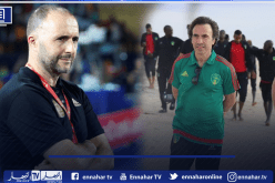 مارتينس: “لهذا السبب نجح بلماضي في التتويج بكأس إفريقيا”