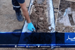عمال يعثرون على هيكل عظمي يحتمل أن يعود لشهيد في عنابة