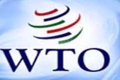 مسؤول بوزارة التجارة   التسعيرة المزدوجة للغاز تم حلها بما يخدم المصلحة الوطنية