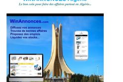 إطلاق محرك بحث خاص بالجزائر في أكتوبر