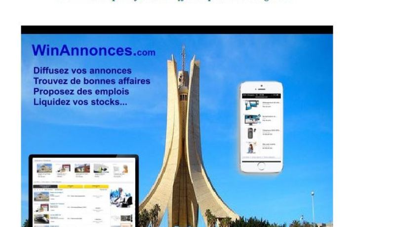 إطلاق محرك بحث خاص بالجزائر في أكتوبر