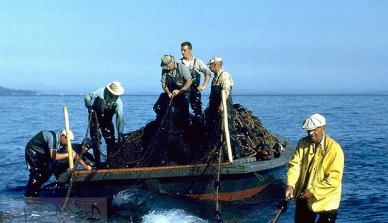 أربعة صيادين من أرزيو بوهران في عداد المفقودين