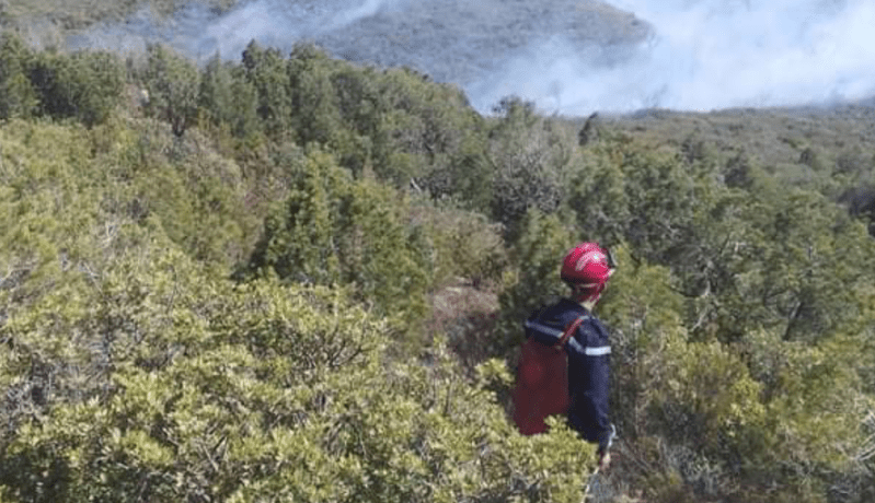 الشلف: إندلاع حريق غابة بدوار بوقرابة بلدية بني حواء