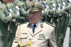 تغييرات جهاز المخابرات تنعكس إيجابيا على مكافحة الإرهاب