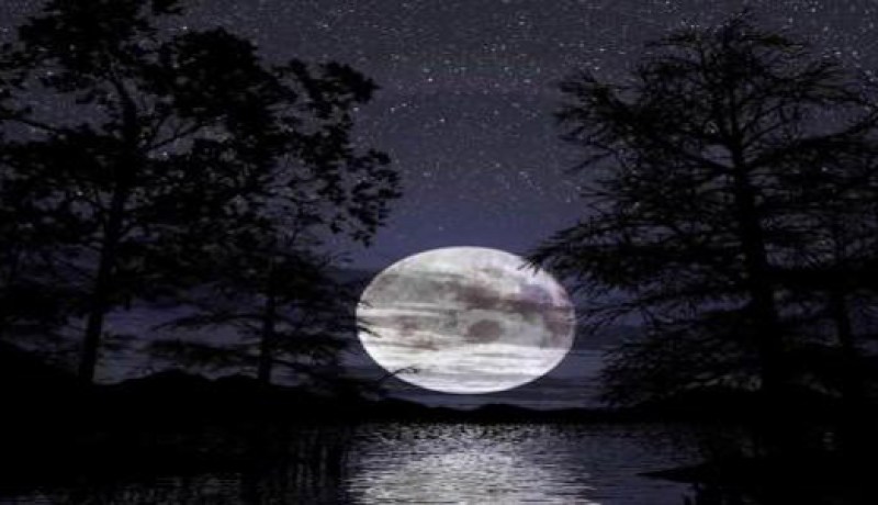 عيـن علـى المجـتمع