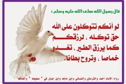 ثمرات التوكل على الله