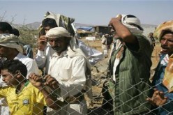 ألمانيا تتبرع ب 31 مليون دولار لمكافحة الجوع في اليمن