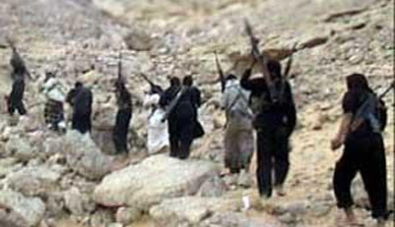 أحد أعضاء القاعدة في اليمن يعترف بمقتل بن لادن