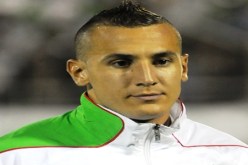 يبدة‮ ‬توحش‮ ‬سعدان