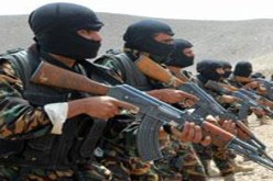 الأجهزة الأمنية اليمنية تضبط خلية إرهابية جنوب اليمن