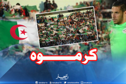 أنصار الخضر بالطوغو يُكرمون بلايلي