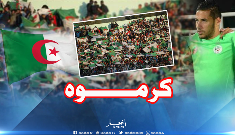 أنصار الخضر بالطوغو يُكرمون بلايلي