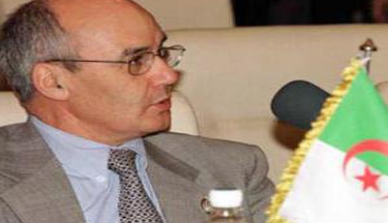 يوسفي في فيينا للمشاركة في اجتماع منظمة الأوبك