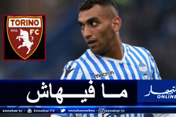 تورينو يقدم أول عرض رسمي لضم فارس وإدارة سبال ترد