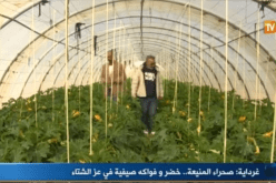 بالفيديو .. منتوجات فلاحية صيفية في عز الشتاء بالمنيعة