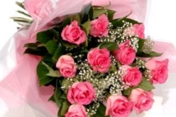 إلى كل من يرغب في إتمام نصف دينه ''النهار'' تفتح لكم صدرها