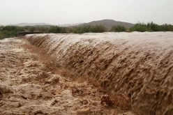 أمطار غزيرة تتسبب في فيضانات في منطقة تاظروك بتمنراست