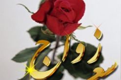 النهار تزف لك عروسك