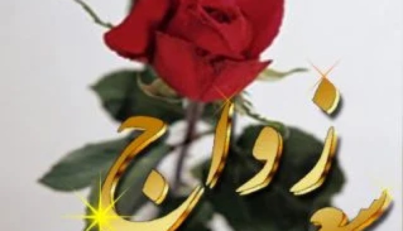 النهار تزف لك عروسك