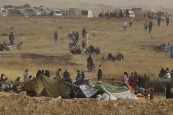القبض على 48 شخصا بتركيا أثناء محاولة عبورهم إلى سوريا