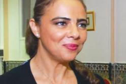 من معركة الجزائر إلى البِقاع المقدّسة