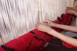 تمويل أزيد من 2700 مشروع ضمن جهاز القرض المصغر بالأغواط
