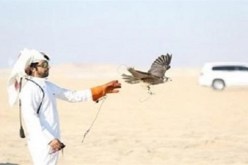 مجهولون يختطفون 26 صيادا قطريا في العراق