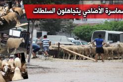 بالصور- موّالون يتحدون الحكومة!