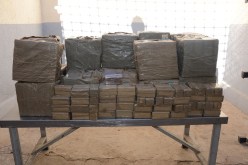 حـرس الحـدود يـحجز 5,5 قـناطير مـن «الكيف» على متن قافلة حمير في مغـنية