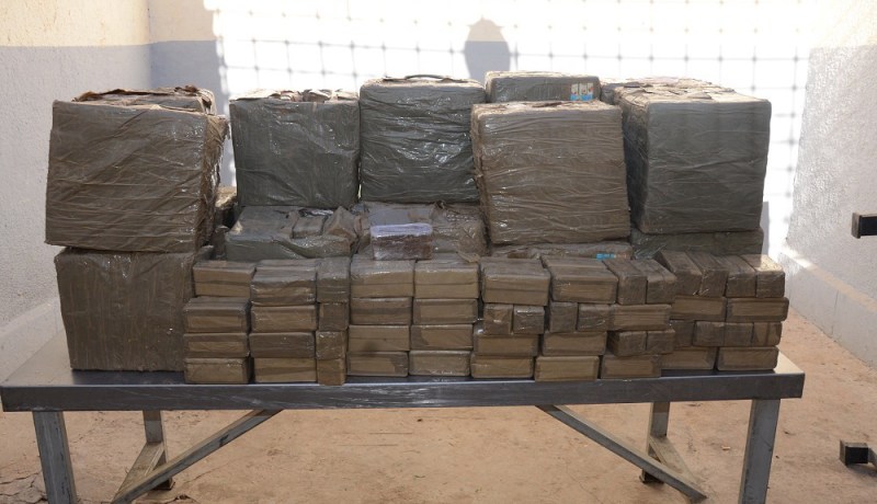 حـرس الحـدود يـحجز 5,5 قـناطير مـن «الكيف» على متن قافلة حمير في مغـنية