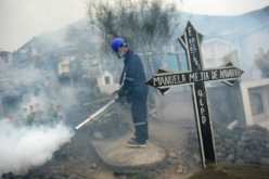 الصحة العالمية تدق ناقوس الخطر بعد تفشي فيروس زيكا بالقارة الأمريكية